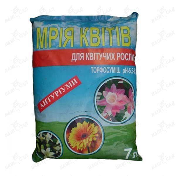 Спатифиллум в грунт для фиалок Спатифиллум в грунт для фиалок