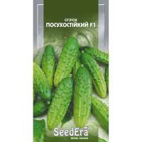 Огірок Посухостійкий Seedera 0,5 г купить